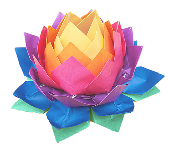 pp-main-lotus-flower